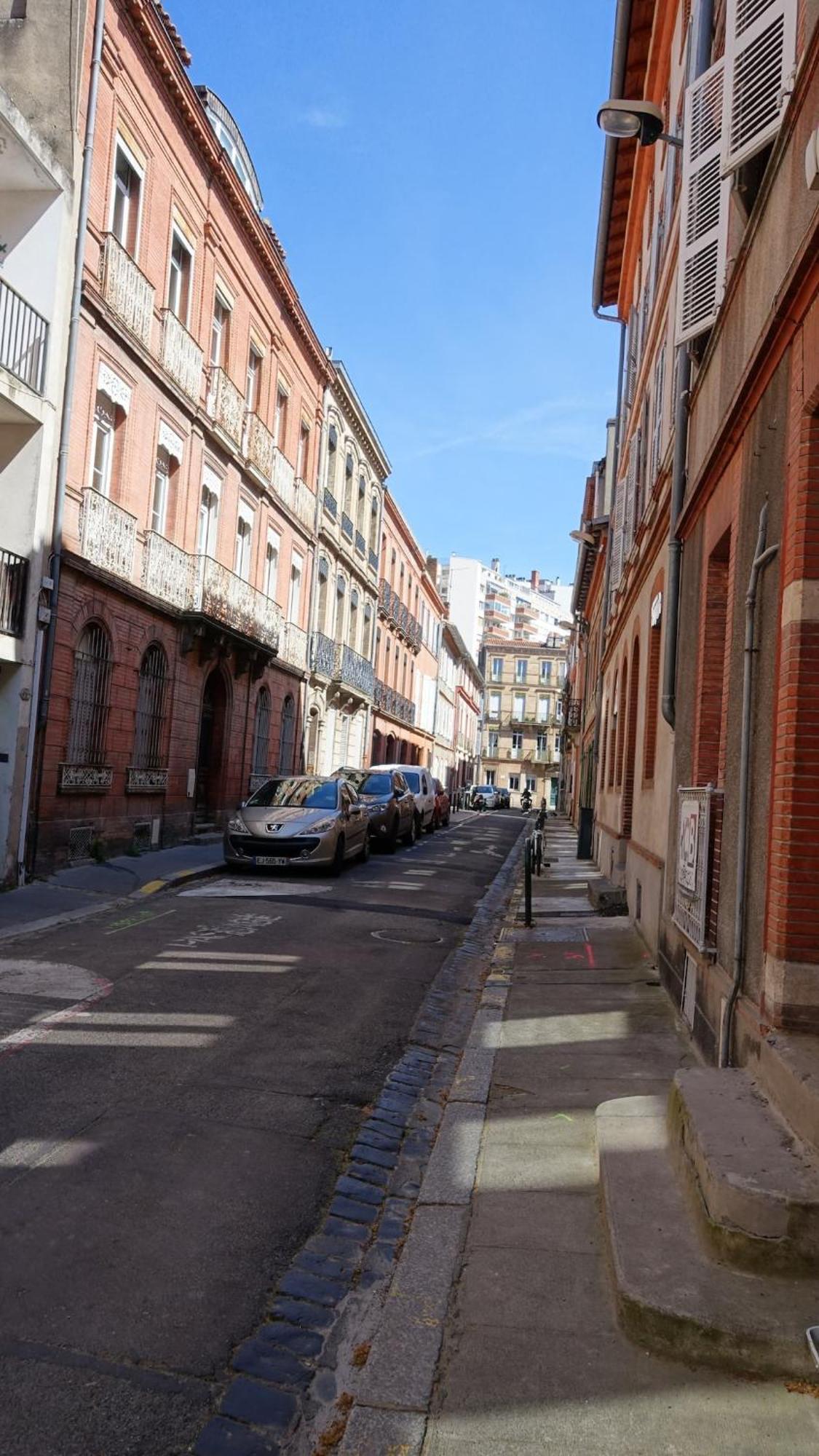 Central, Charming And Peaceful Lejlighed Toulouse Eksteriør billede